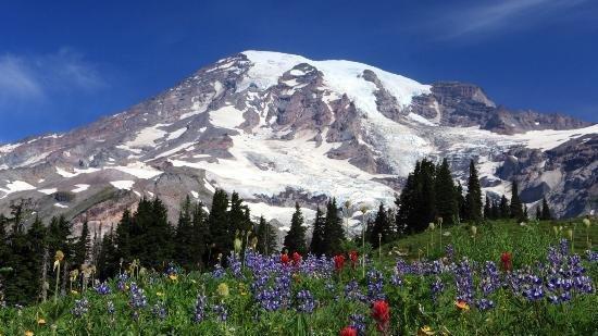 The Wedding Website of Eva Duleba and Kyle Williams