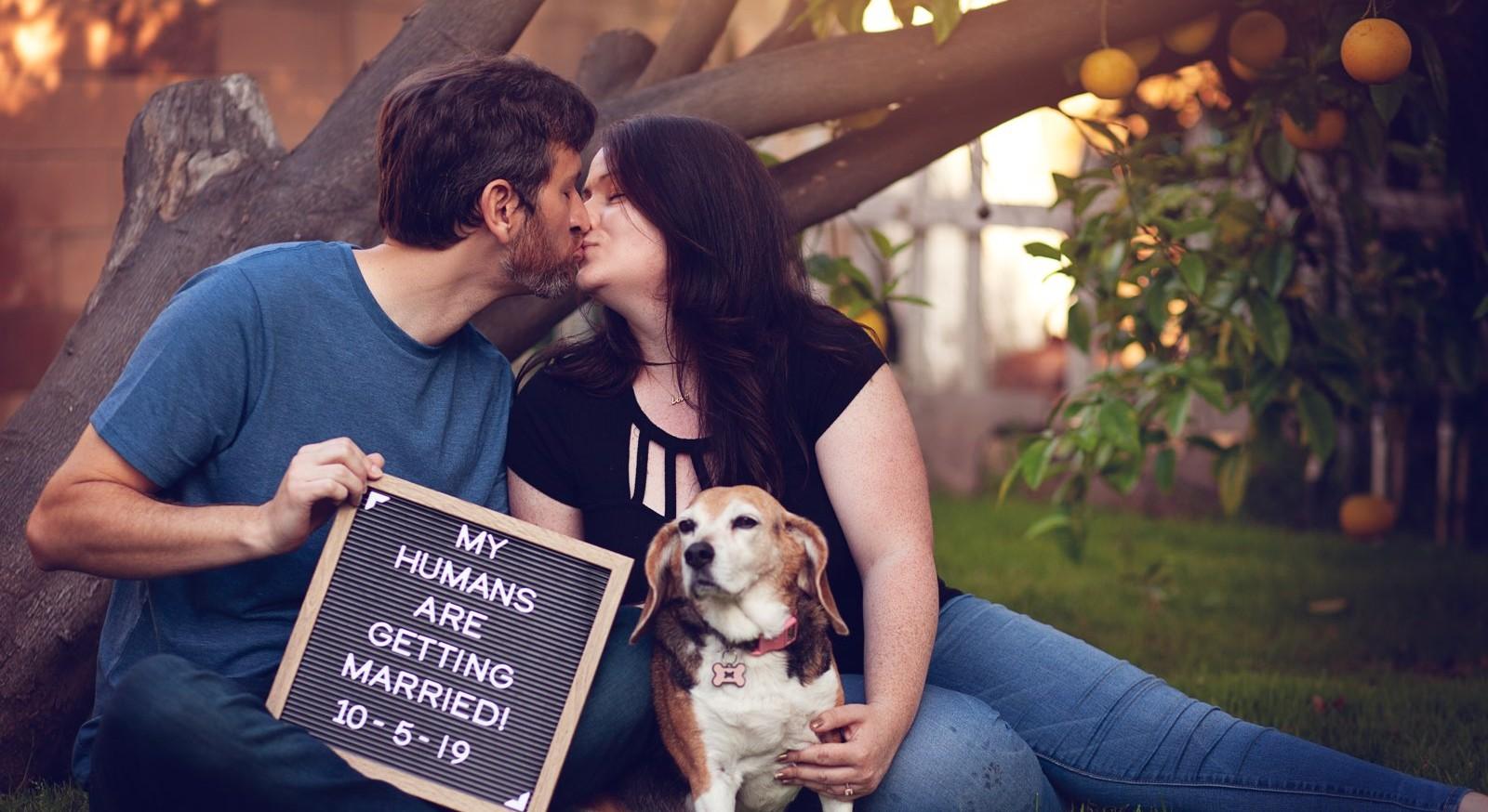 The Wedding Website of Jennifer Peacock and Robert Bradbury