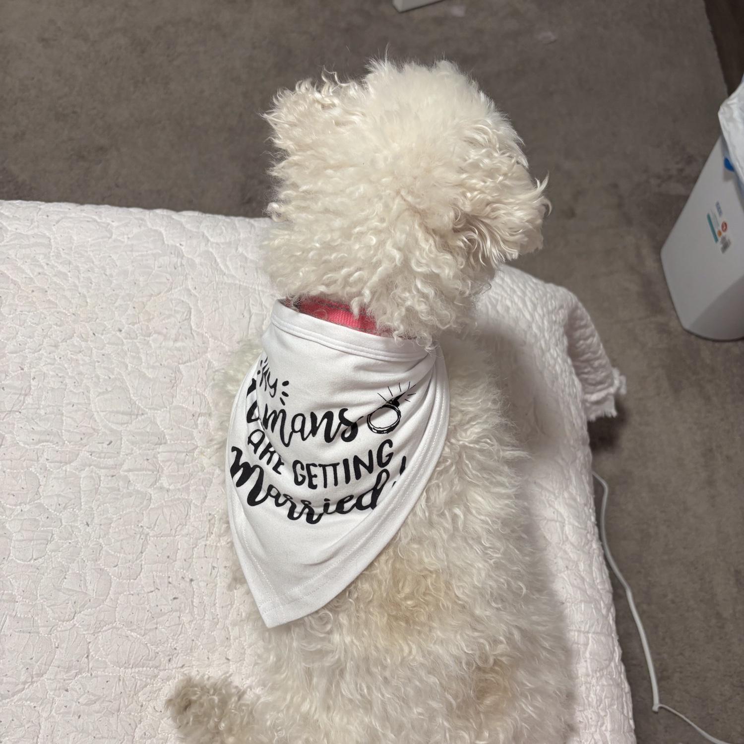 Lilys outfit