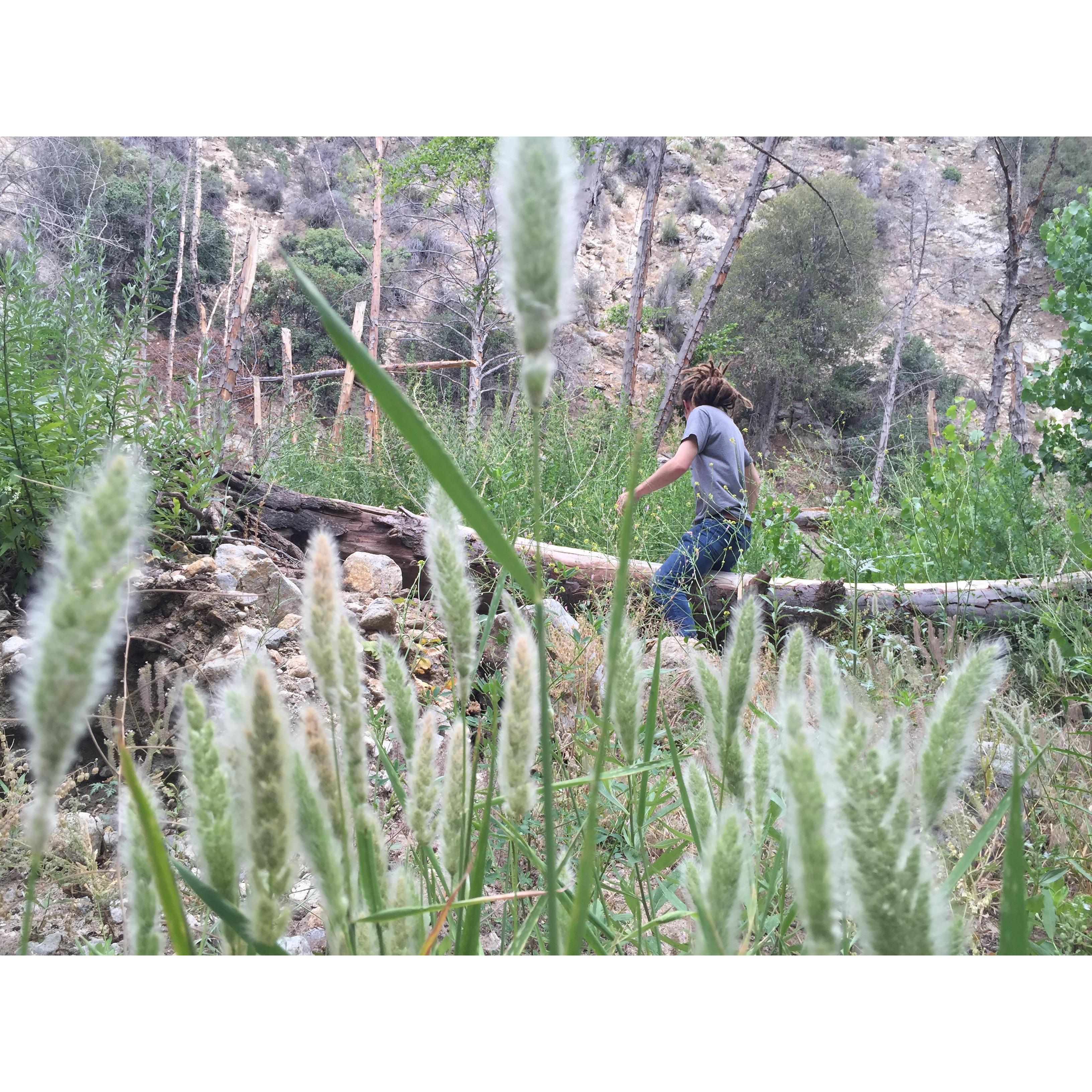 A place Dev took my to get Poison Oak a 2nd time in a row.