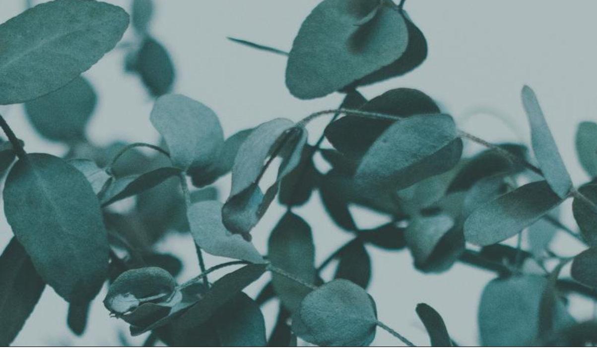 Footer image