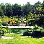 Duke Gardens