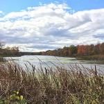 Vischer Ferry Nature & Historic Preserve