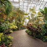 Frederik Meijer Gardens & Sculpture Park