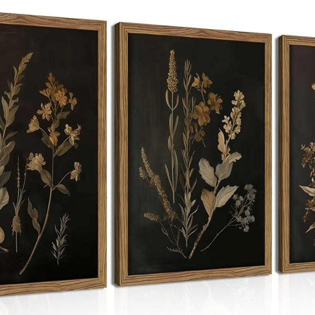 Framed Dark Botanical Wall Art Set of 3, Black Moody Floral Wall Decor Paintings, Dark Academia Decor, Vintage Flower Artwork Prints Pictures for Living Room Bedroom Bathroom 16x24 Inch