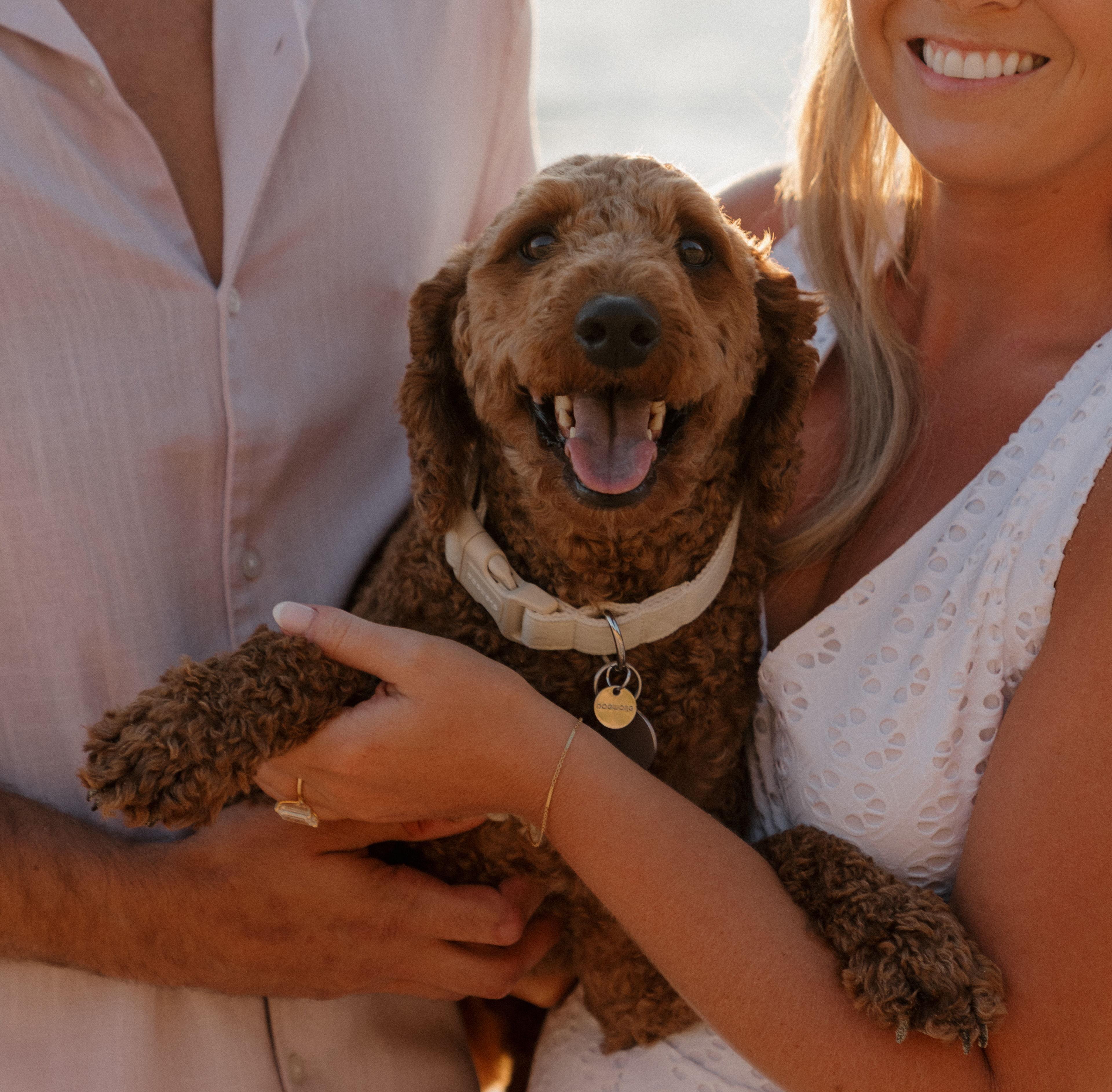 The Wedding Website of Katie Olson and Nolan Patterson