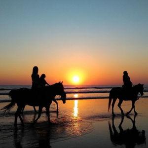 Horseback riding - Eros Beach in Santorini