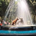 Coyoacan