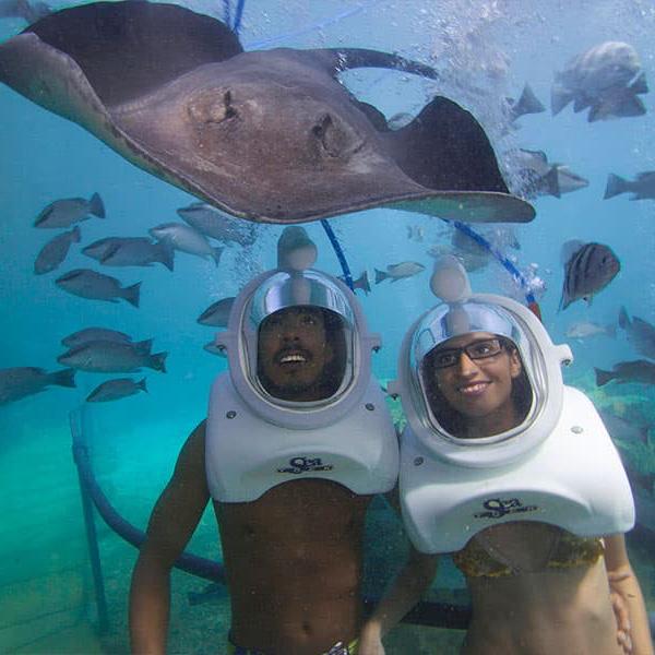 Sea Trek Stingrays During our Honeymoon