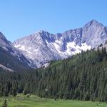 Pike National Forest