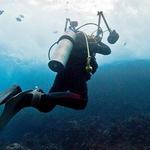 Dressel Divers Playa del Carmen