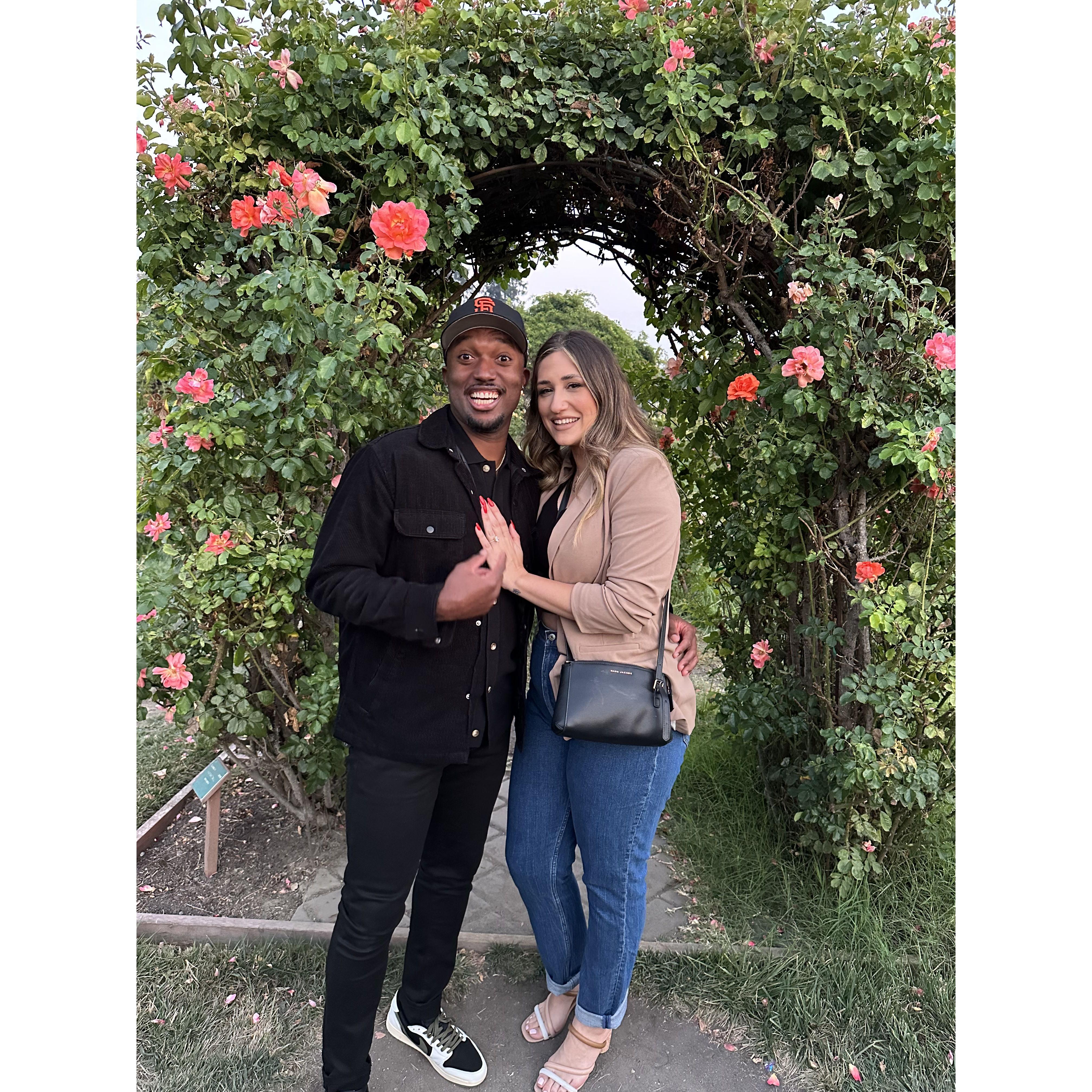 She said, "Yes."