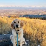 Lone Pine State Park