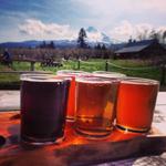Brewery Hopping