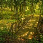 Seven Ponds Nature Center