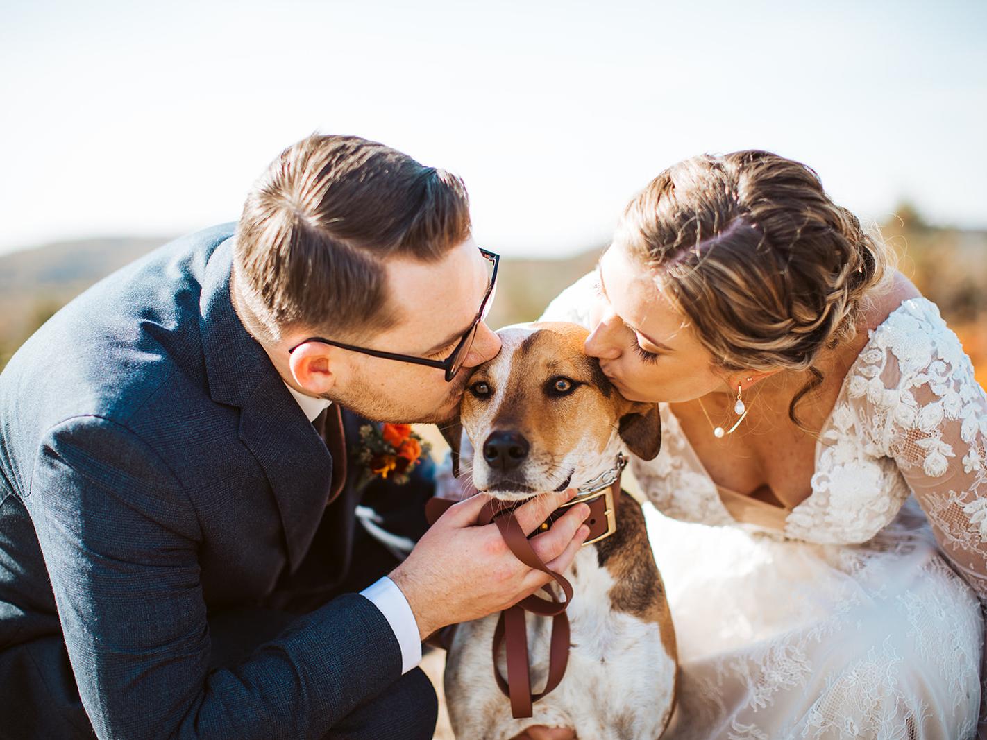 The Wedding Website of Zack Shay and Emma Shay