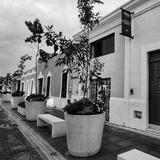Corredor Gastronómico de Mérida