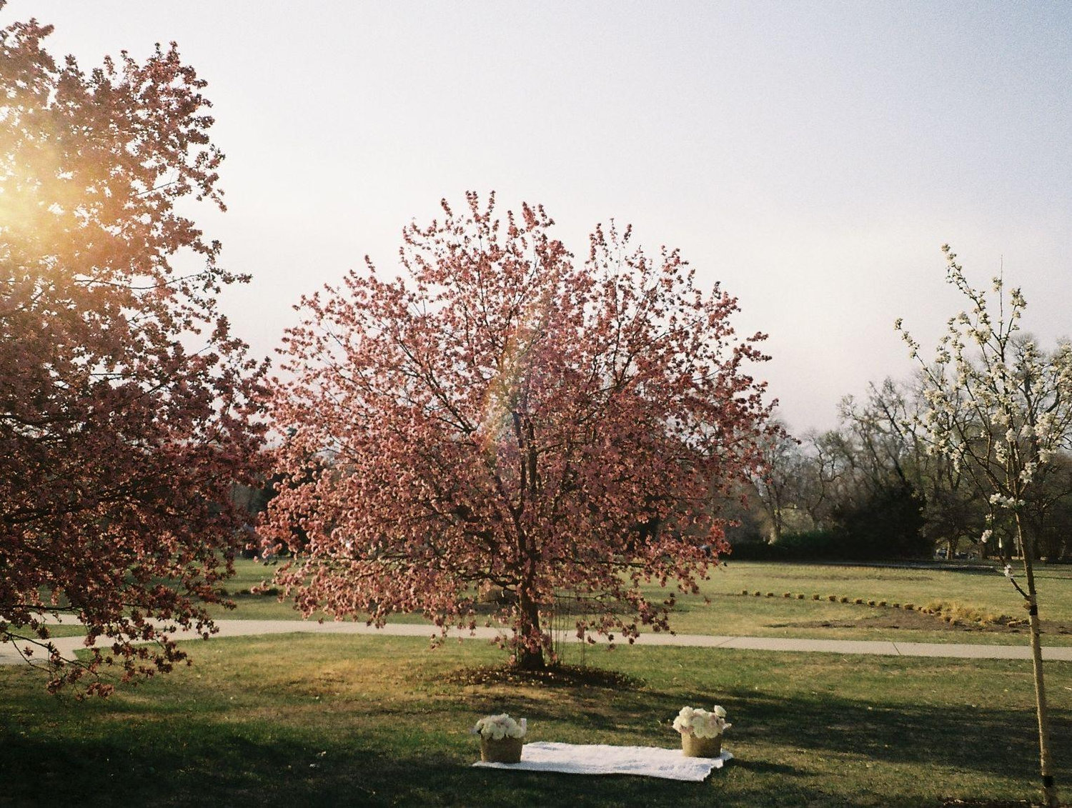 The Wedding Website of Caleb Clark and Casey-Love Neumann