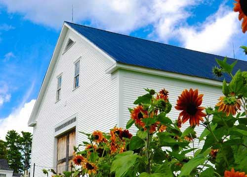 The Wedding Website of Elyse Doyle and Michael Cochrane