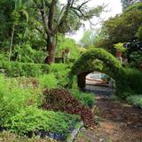 Borda Jardin