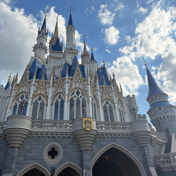 Disney Annual Pass Fund