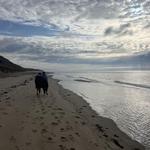 Great Island Trail