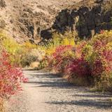 Cowiche Canyon Trail East Trailhead