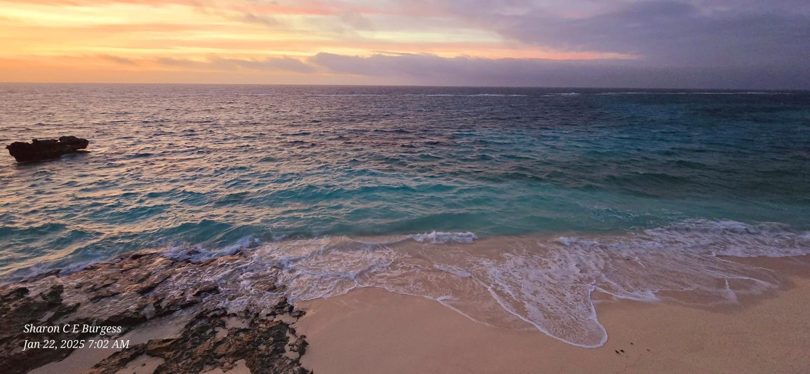 The Wedding Website of Moriah Barrett and Scott Simons