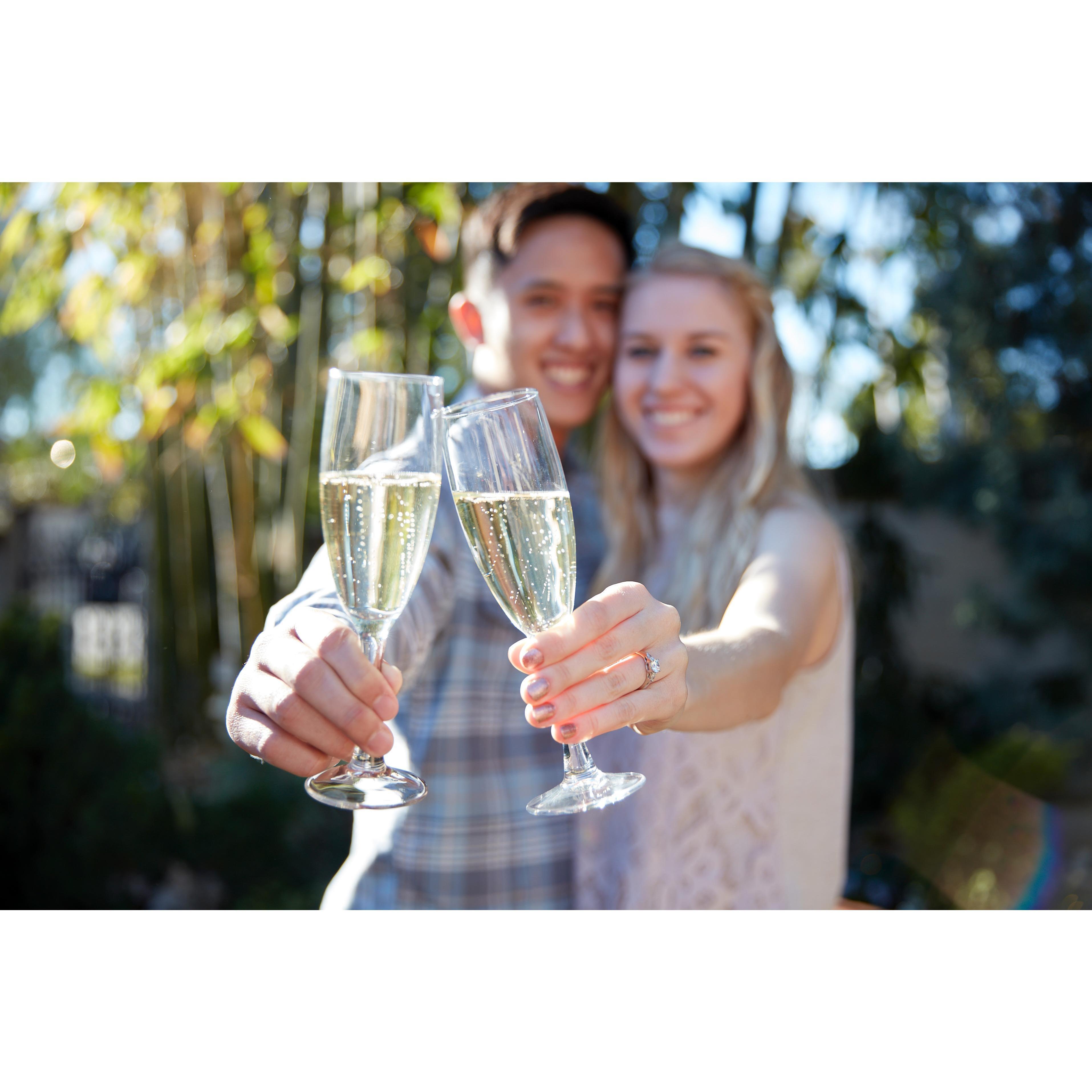 A toast to our bright future of happiness!