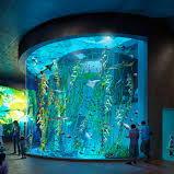 Gran acuario de Mazatlan (Aquarium)