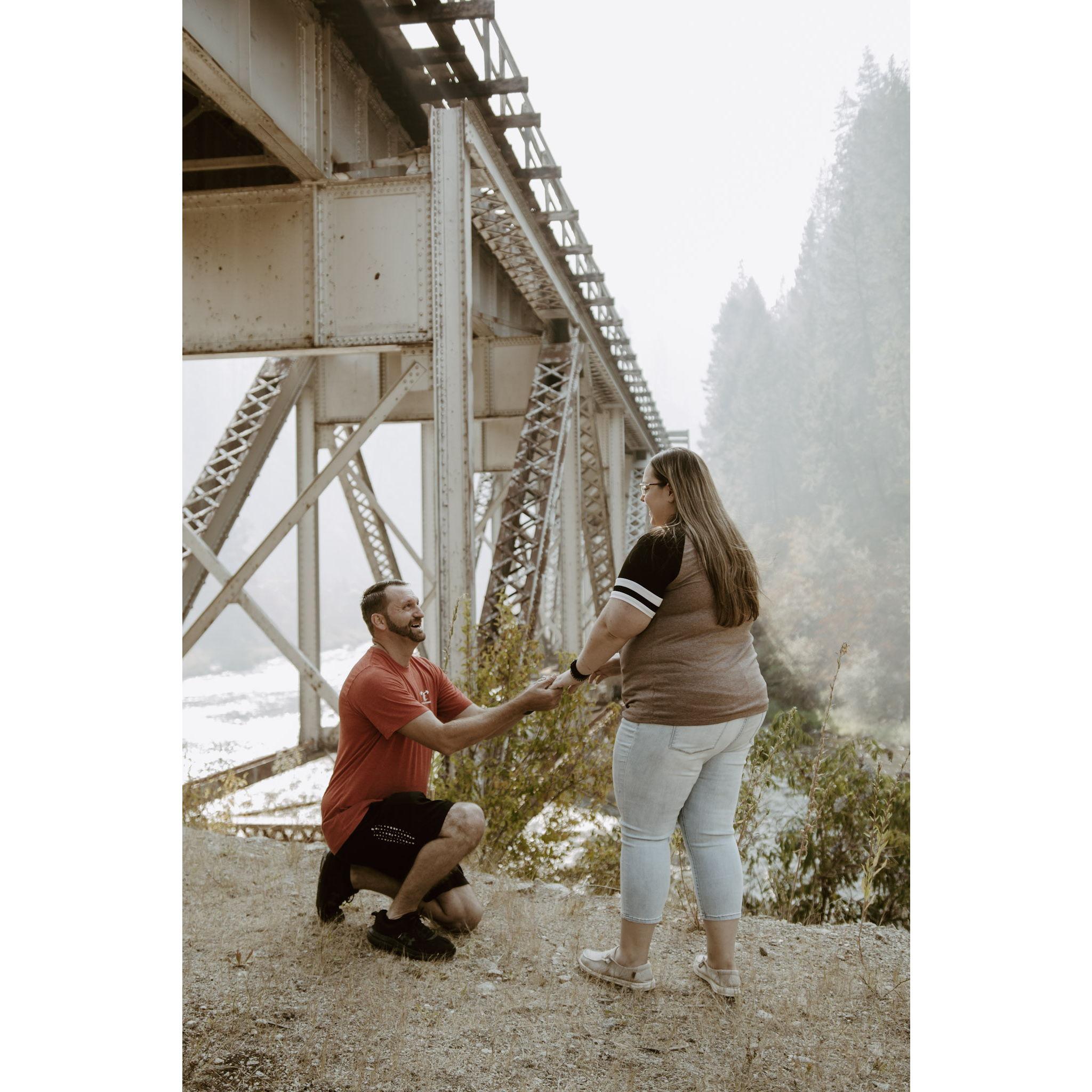 Proposal August 2024