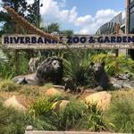 Riverbanks Zoo & Garden