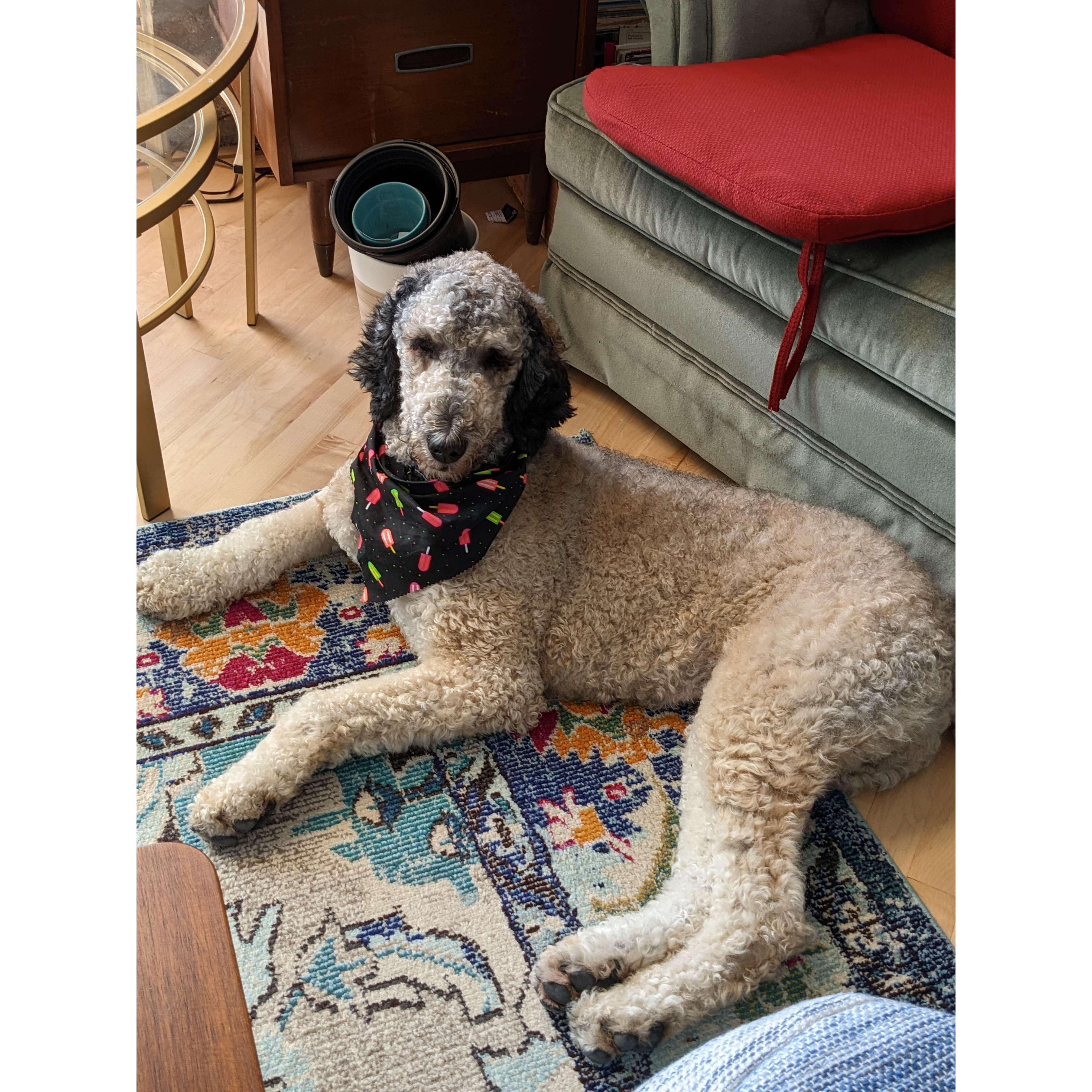 Chance post groom!