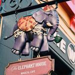 The Elephant House