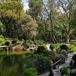 Bosque Los Colomos