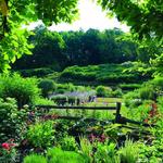 Cornell Botanic Gardens