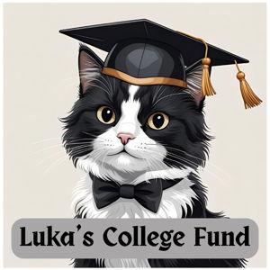 Luka's Collegue Fund