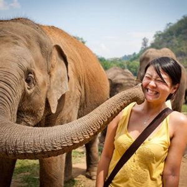 Elephant Sanctuary Visit