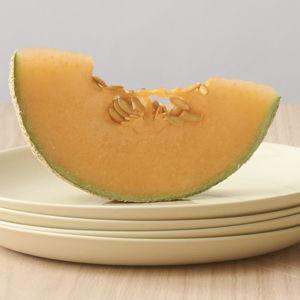 Ceramic Salad Plate: Mud Australia