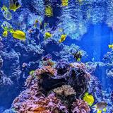 National Aquarium