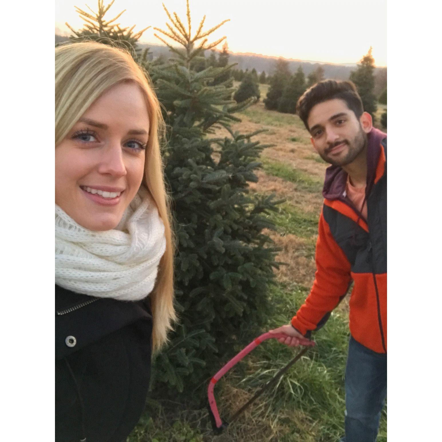 2017: Our first Christmas tree