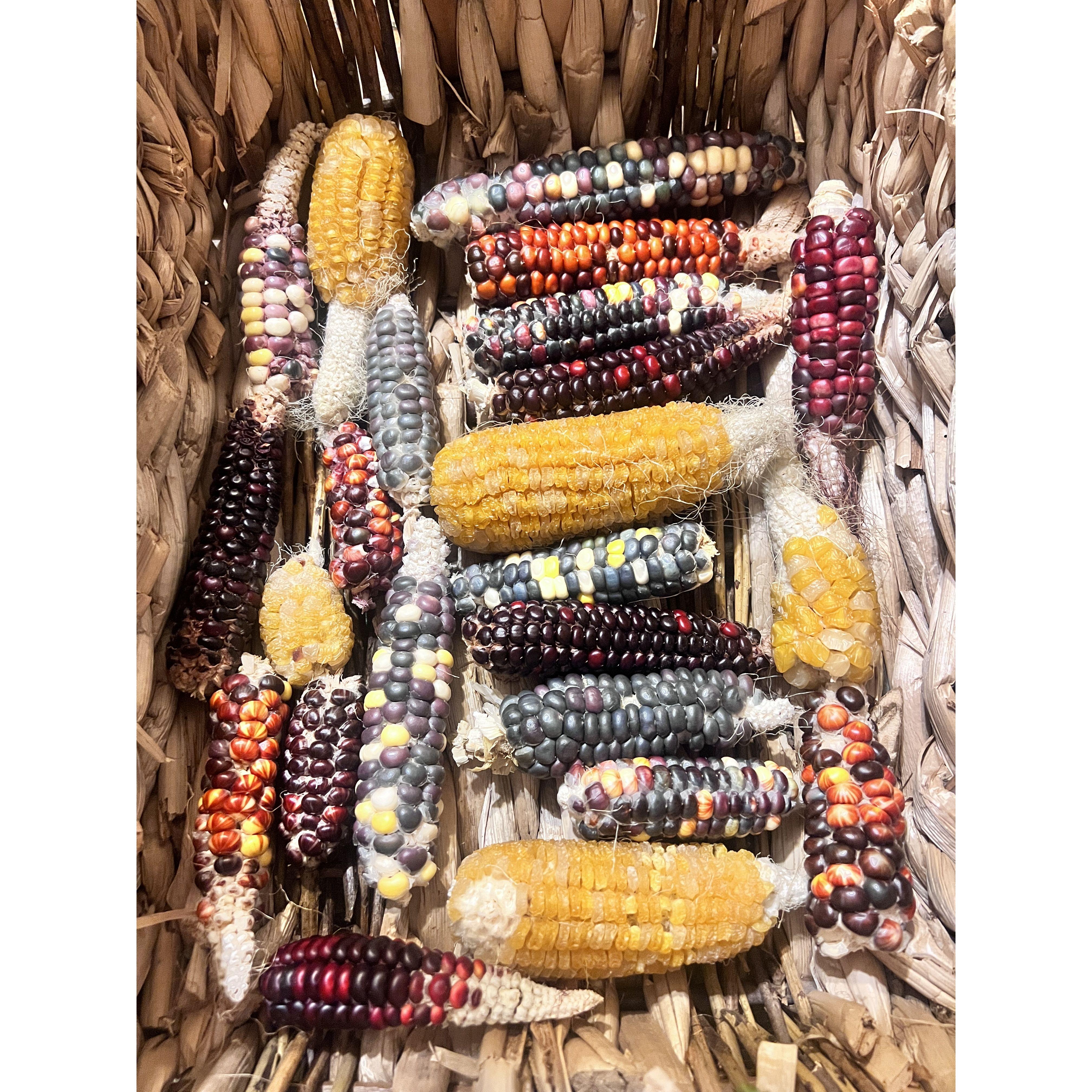 It was a plentiful, and beautiful harvest!