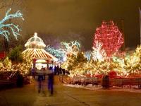Wild Lights @ Saint Louis Zoo
