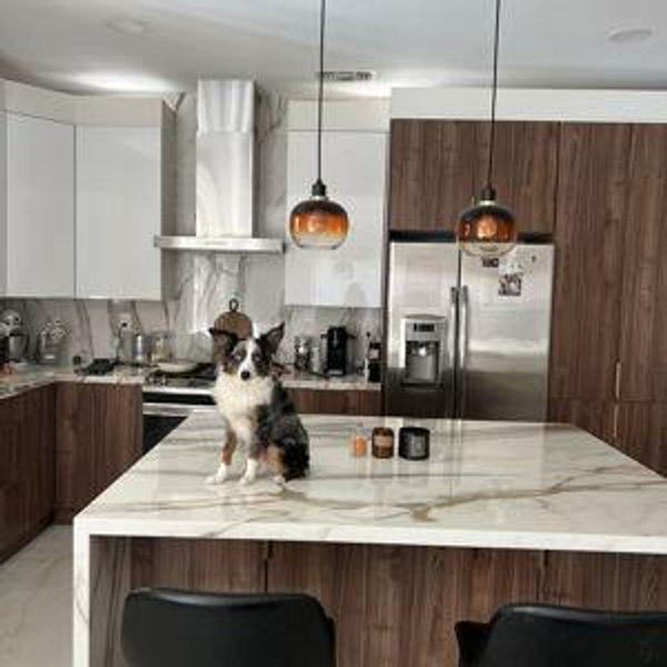 New Appliances