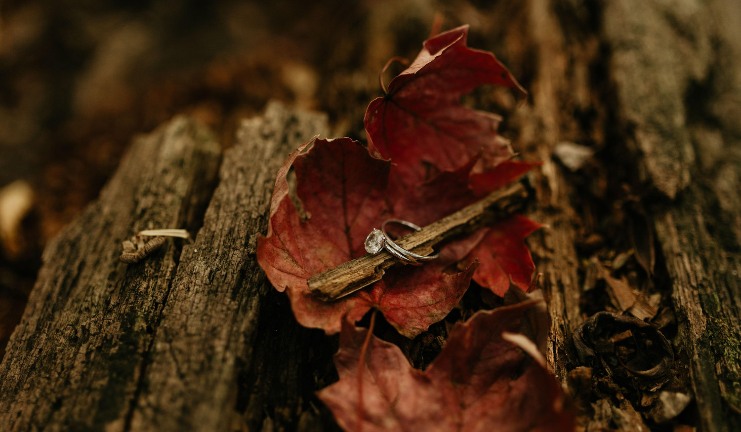 Footer image