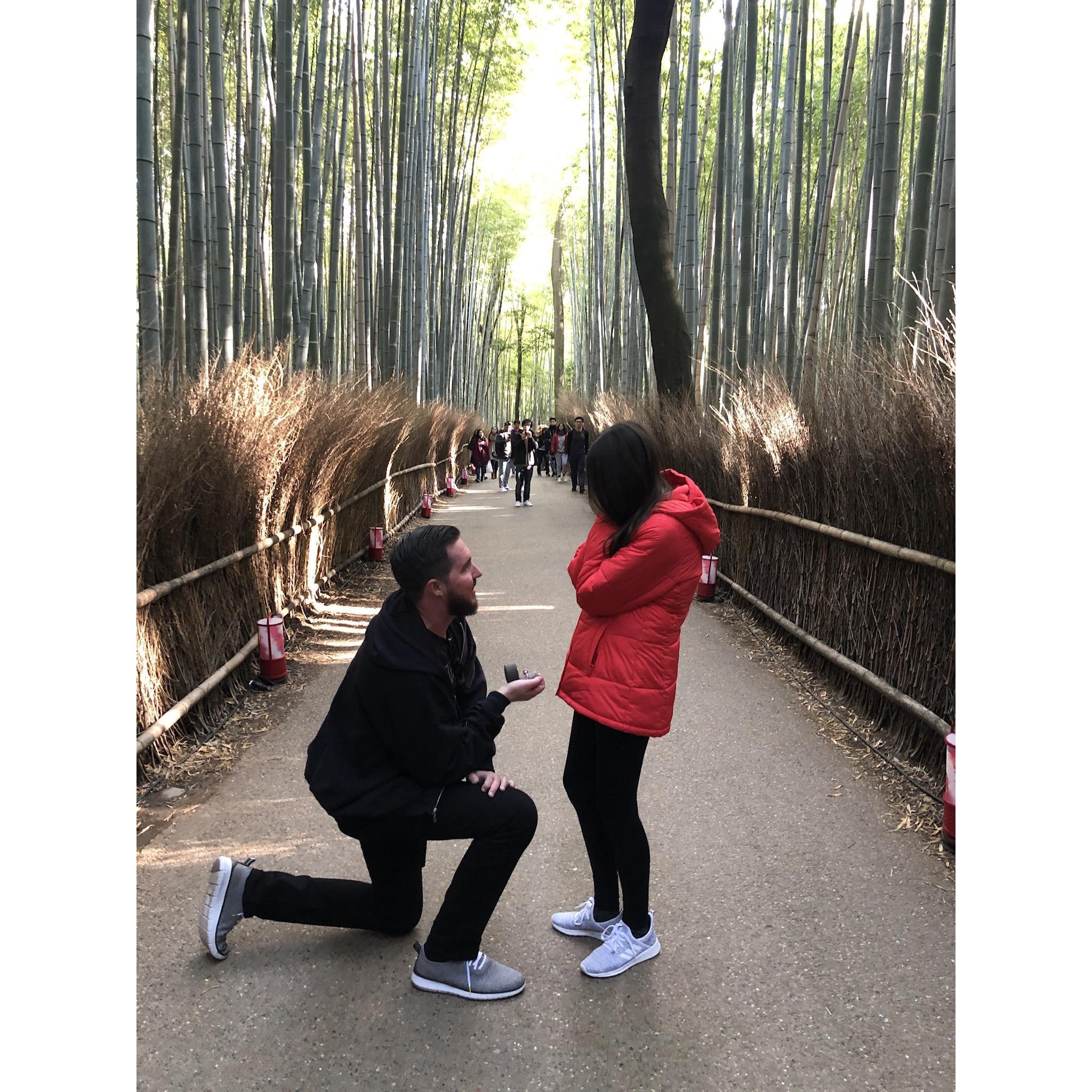 Devin proposed at The Bamboo Forest in Kyoto!