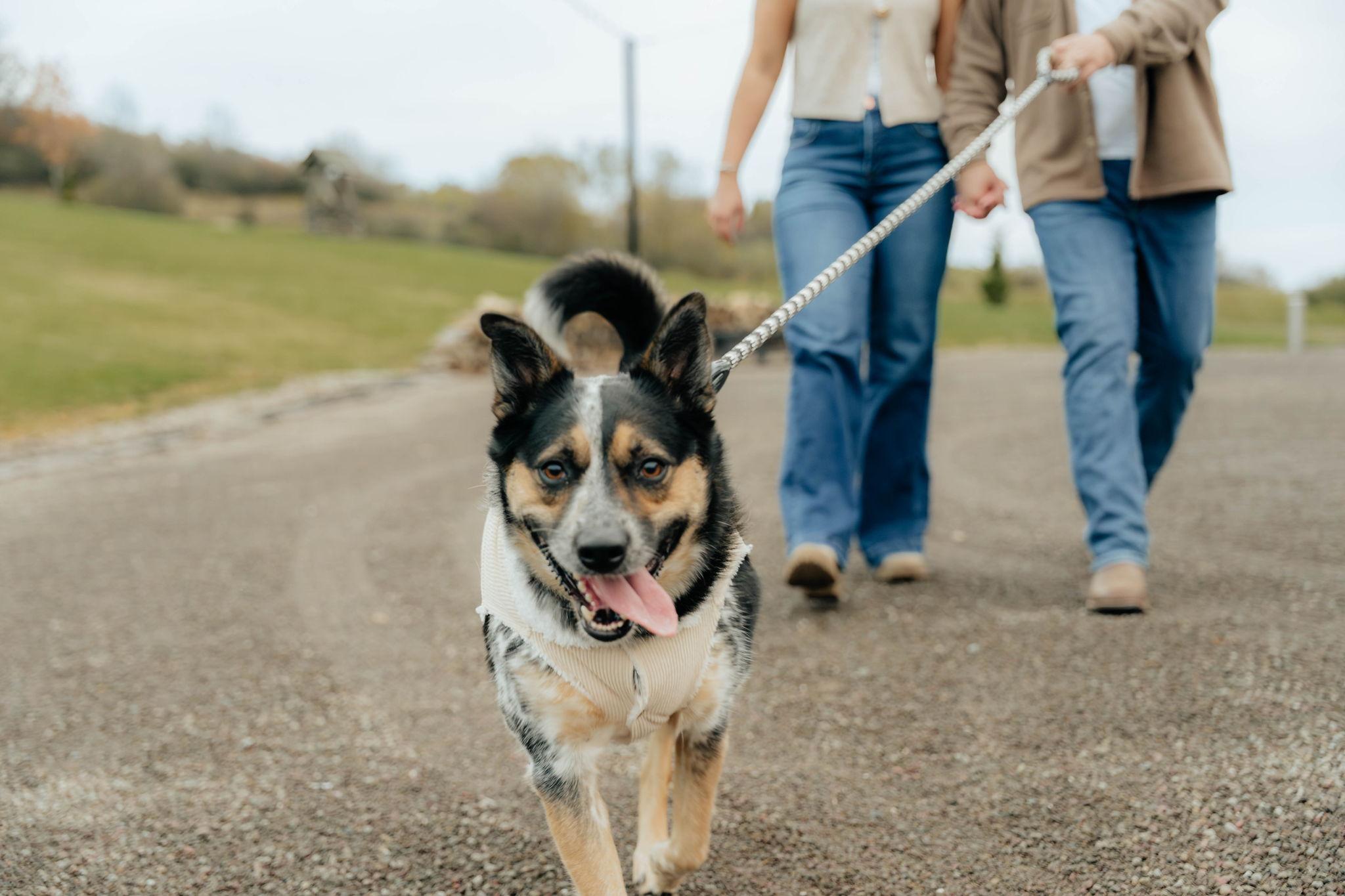 The Wedding Website of Laura Booths and Josh Stevens