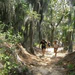 First Landing State Park