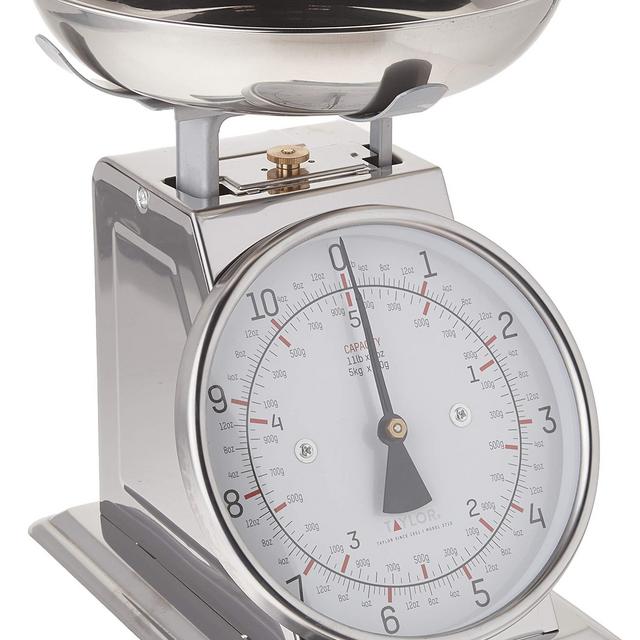 Taylor Precision Products Taylor Stainless Steel Analog Kitchen Scale, 11 Lb. Capacity, Silver