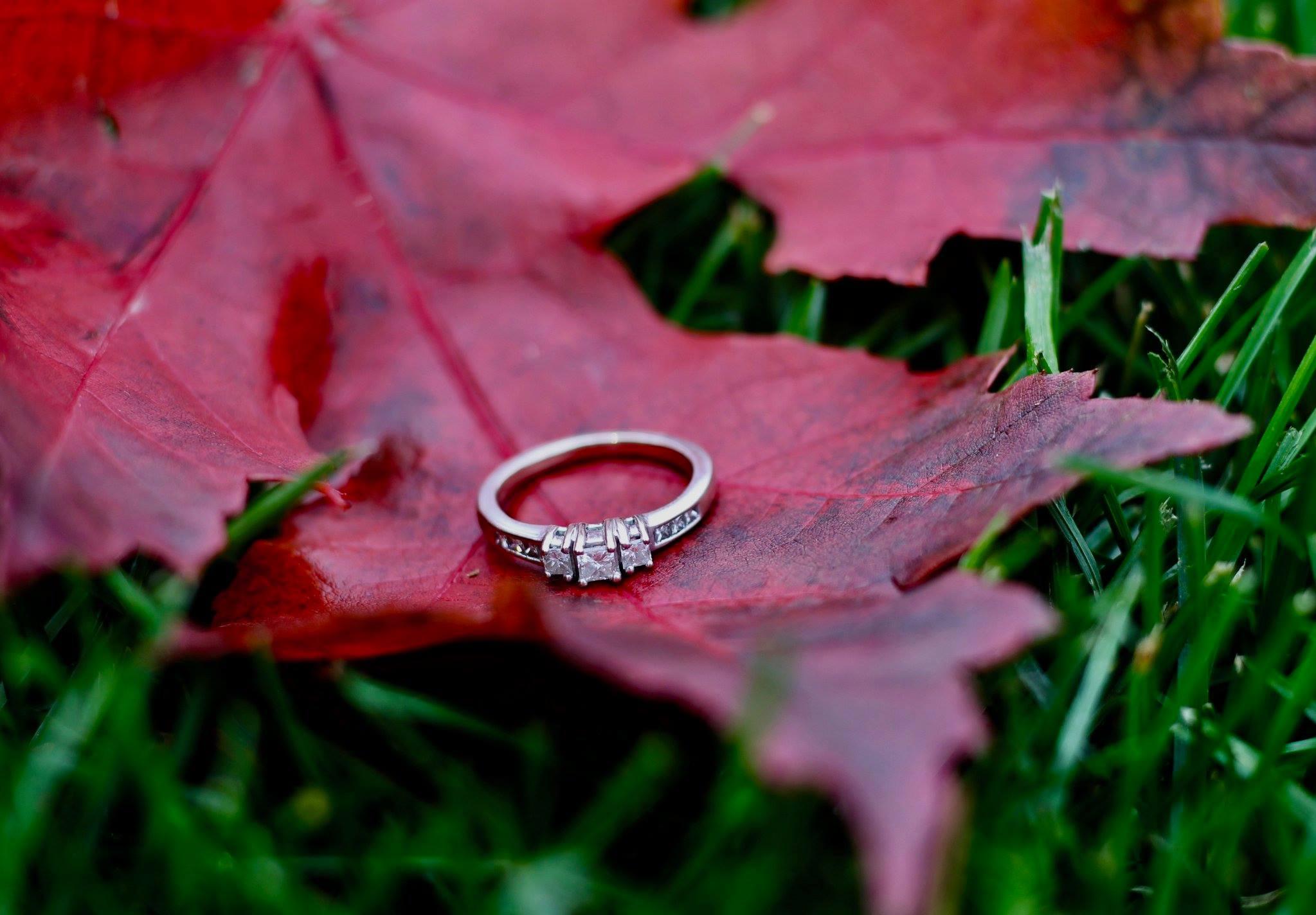 The Wedding Website of Emily Gebur and Nick Rappe